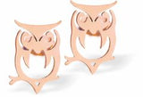 Artisan Owl Rose Gold Coloured Titanium Steel Stud Earrings