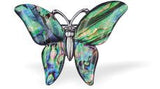 P331 - Paua Shell Butterfly Brooch, Rhodium Plated