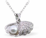 C054 - Silver Coloured Crystal Encrusted Oyster Shell Necklace with Pearl