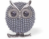 K727 - Rotund Owl Brooch, Rhodium Plated