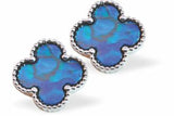 P566 - Paua Shell Clover Stud Earrings, Rhodium Plated