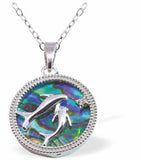 P762 - Paua Shell Dolphins Necklace, Rhodium Plated