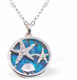 P775 - Paua Shell Starfish and Seashell Necklace, Rhodium Plated