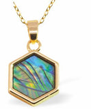 PA57 - Paua Shell Rectangle with Stone Necklace, Rhodium Plated, Golden Framed/Chain