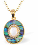 PA59 - Paua Shell Oval with Mother of Pearl Necklace, Rhodium Plated, Golden Framed/Chain