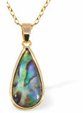 PA60 - Paua Shell Teardrop Necklace, Rhodium Plated, Golden Framed/Chain