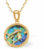 PA63 - Paua Shell Dolphins Necklace, Rhodium Plated, Golden Framed/Chain