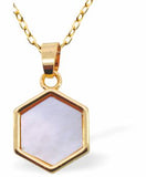 PF27 - Iridescent Octagonal Pendant, Golden Framed