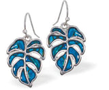 Paua Shell Fern Drop Earrings 15mm in size Rhodium Plated, hypoallergenic Nickel, Lead and Cadmium free See Matching Earrings P1447 Delivered in a soft, black, velveteen pouch